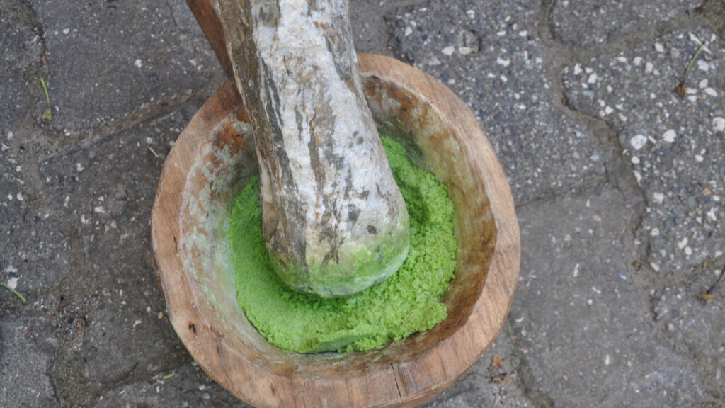 akcigerin-dostu-koylunun-umudu-cIvRGRBy