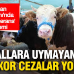 ** Kurban Bayramı’nda Sıfır Tolerans Uygulaması: Kurallara Uymayanlar İçin Ağır Cezalar