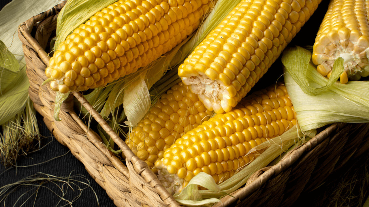 Ticaret Bakanlığı’ndan Mısır İthalatı İçin 3 Milyon Tonluk Kontenjan Açıldı