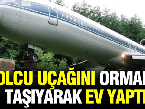 Uçak Dönüşümü: Ormanda Yaşam Alanı Haline Gelen Boeing