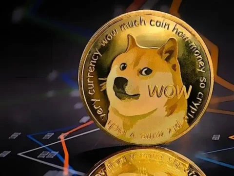 Haber gorseli